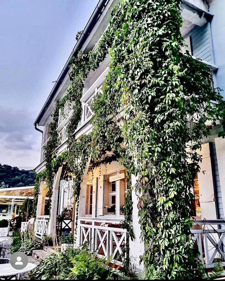 Fregata Bed & Breakfast Zagorze Slaskie Ngoại thất bức ảnh
